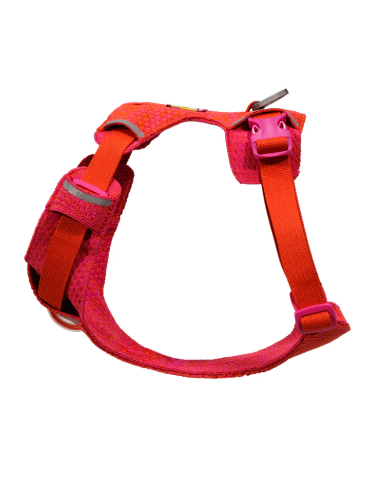 Front Range Flex Harness in Rose Violet - Image 4