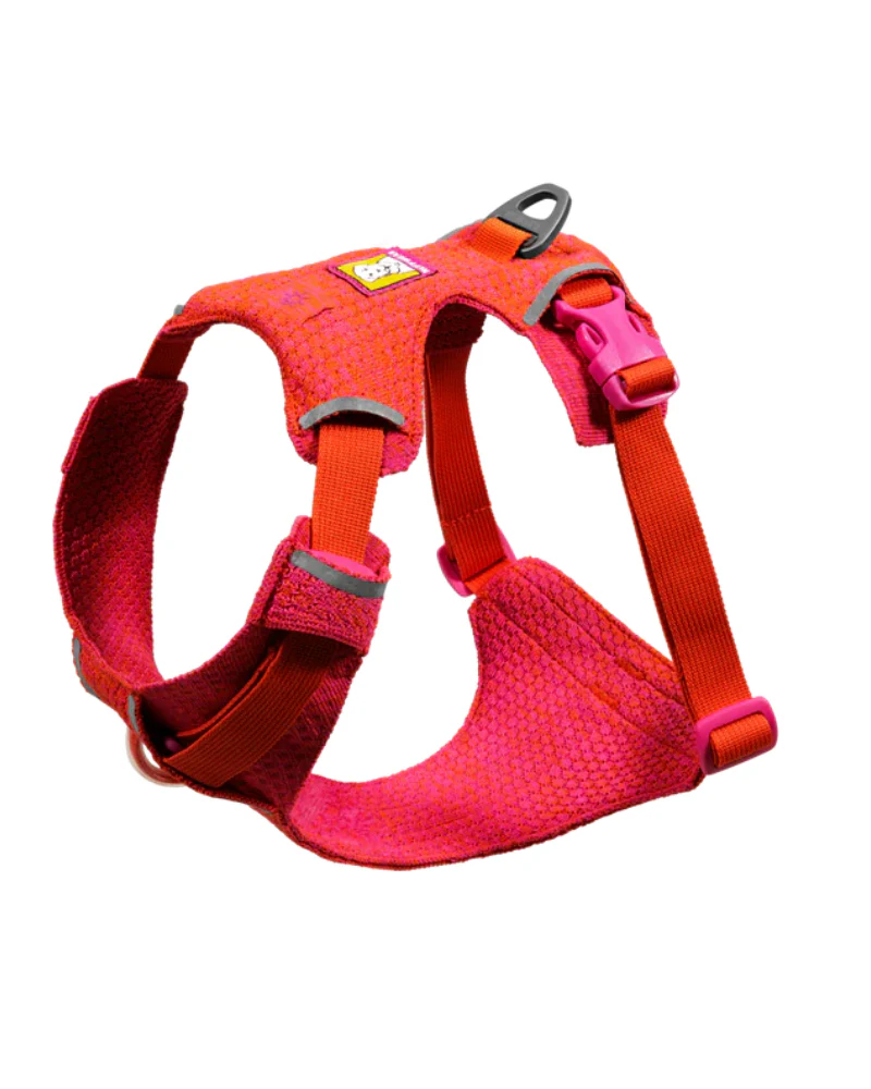 Front Range Flex Harness in Rose Violet - Image 5