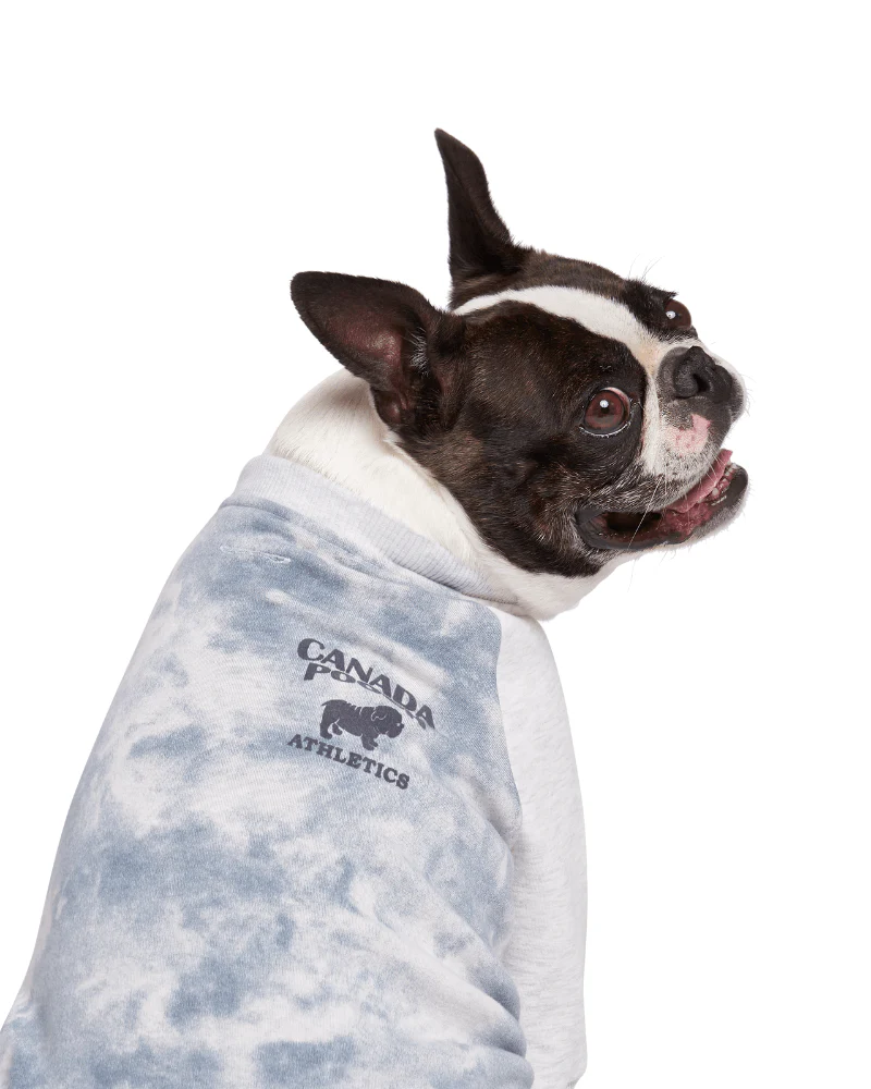 Frosty Fleece Dog Sweatsuit in Grey Tie-Dye (CLEARNACE) - Image 2