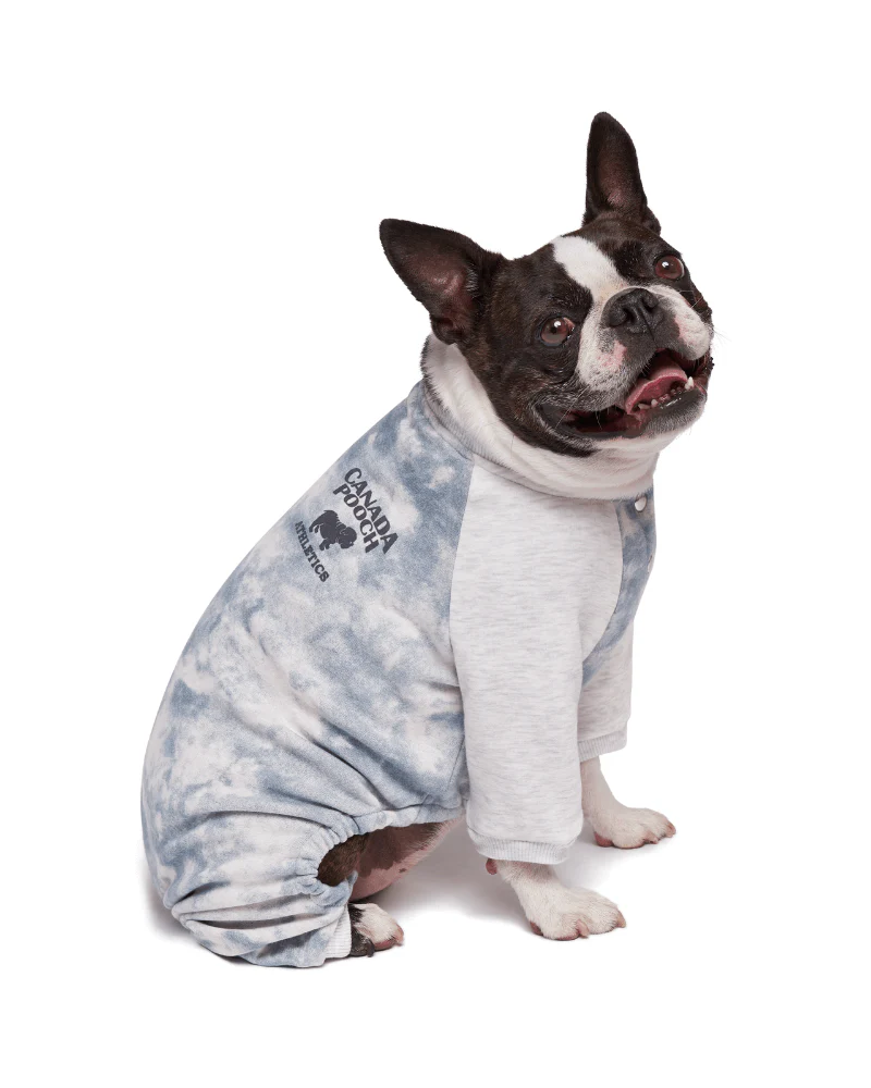 Frosty Fleece Dog Sweatsuit in Grey Tie-Dye (CLEARNACE) - Image 3