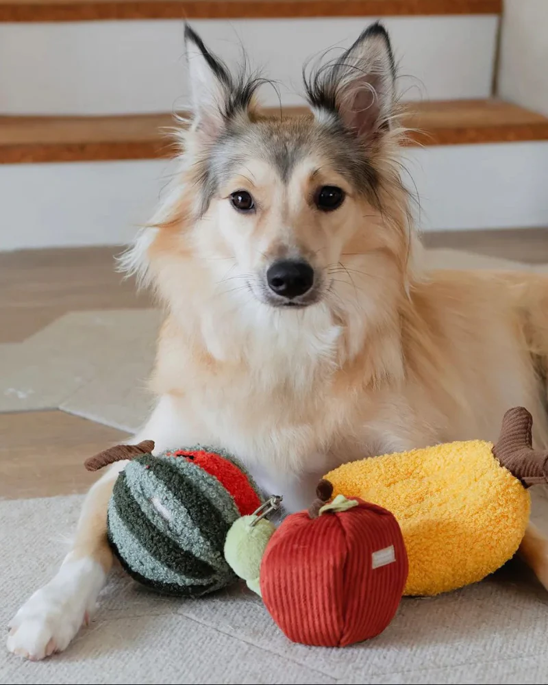 Fruit Enrichment Snuffle Dog Toy Set - Image 2