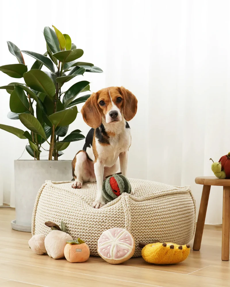 Fruit Enrichment Snuffle Dog Toy Set - Image 3