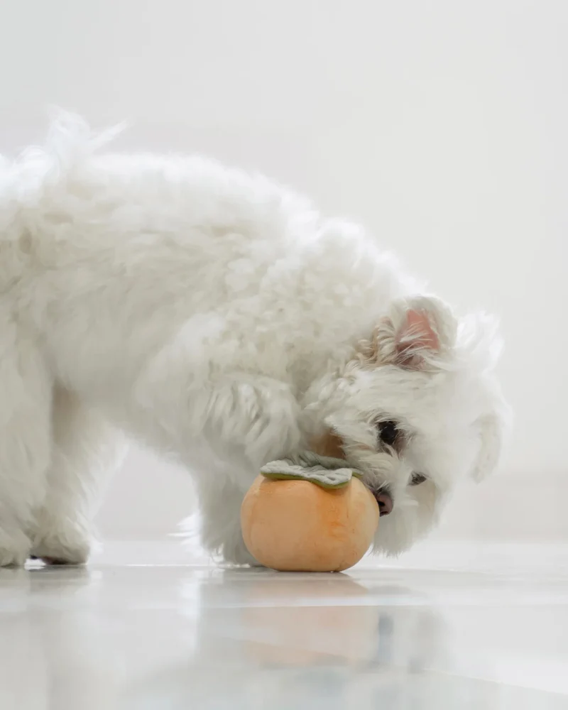 Fruit Enrichment Snuffle Dog Toy Set - Image 5