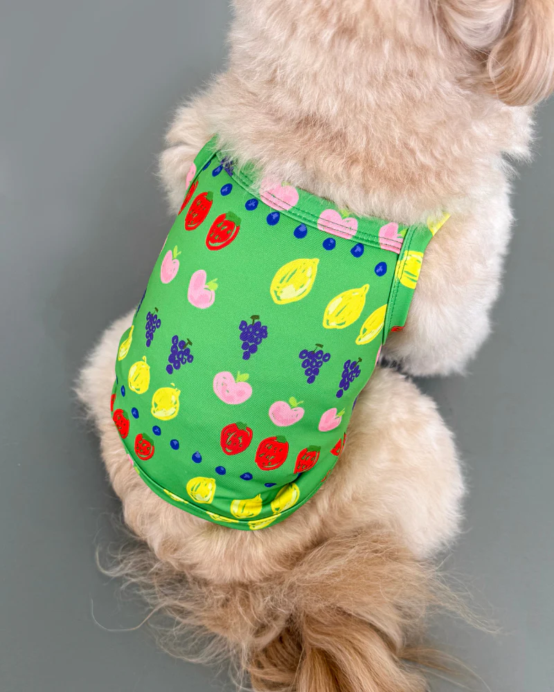 Fruit Juice Dog Cooling Tank (FINAL SALE) - Image 2