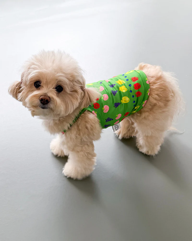 Fruit Juice Dog Cooling Tank (FINAL SALE) - Image 4