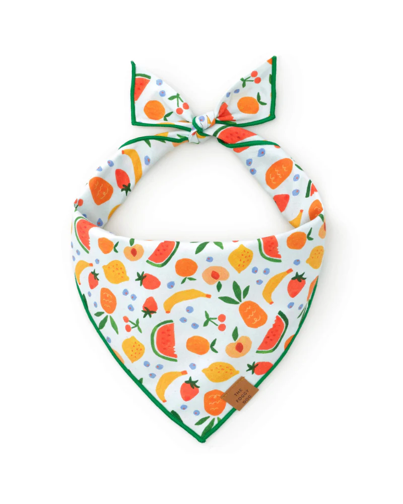 Fruit Salad Dog Bandana (Made in the USA) (FINAL SALE) - Image 2