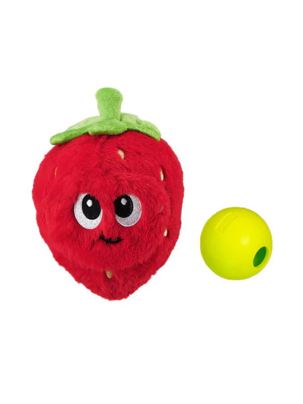 Fruity Plush + Interactive Dog Toy