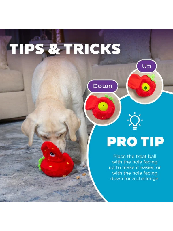 Fruity Plush + Interactive Dog Toy - Image 2