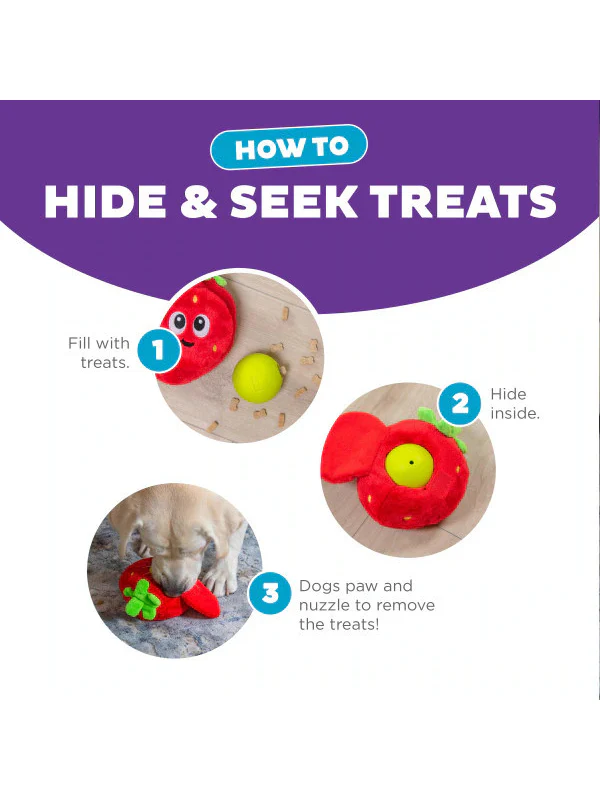 Fruity Plush + Interactive Dog Toy - Image 3