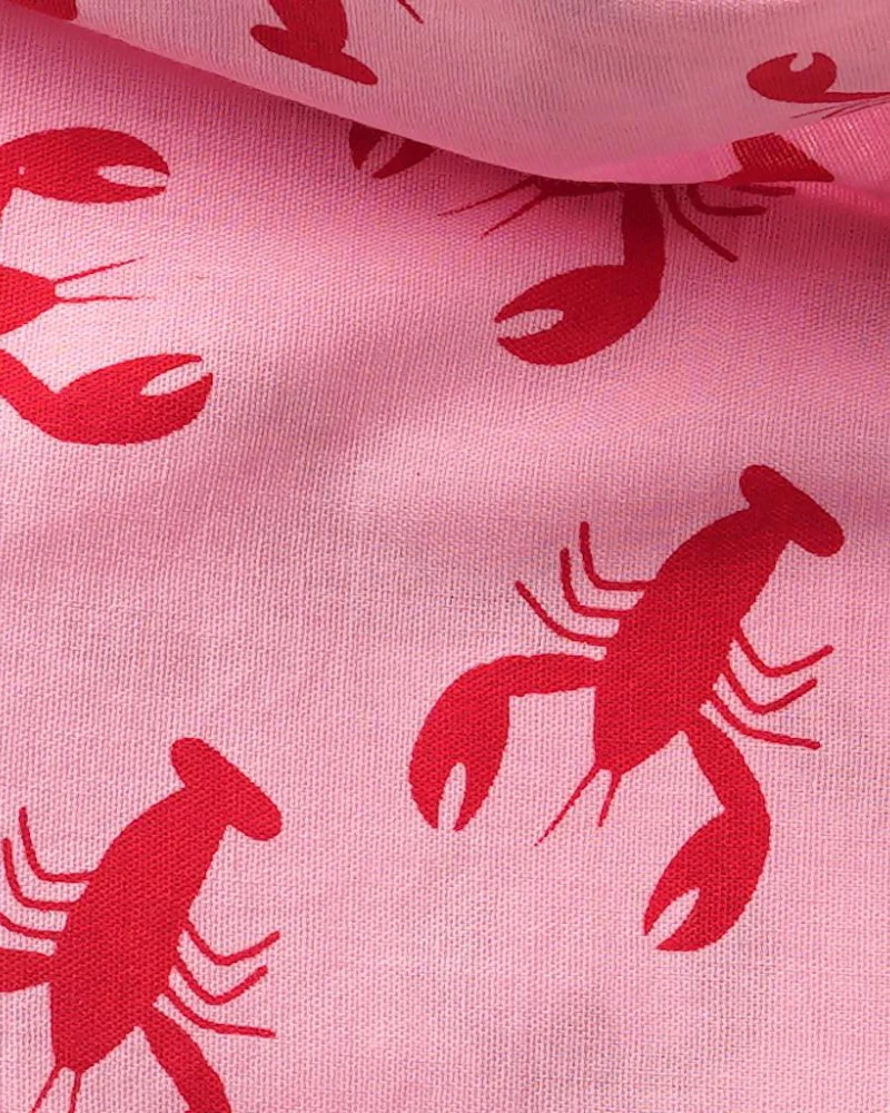 Frye Island Lobster Dog Bandana (FINAL SALE) - Image 3