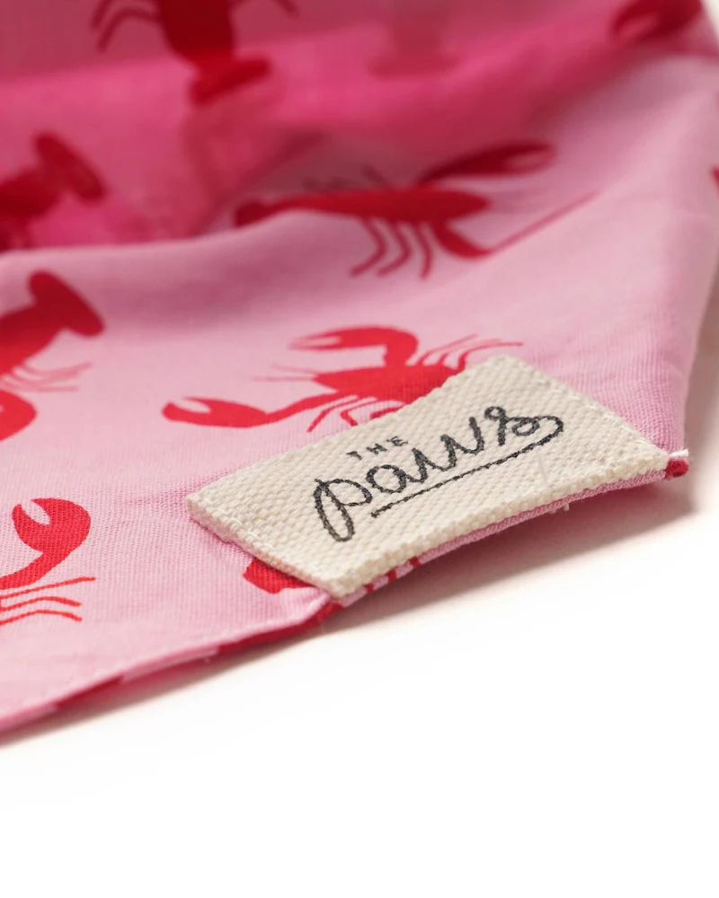 Frye Island Lobster Dog Bandana (FINAL SALE) - Image 4