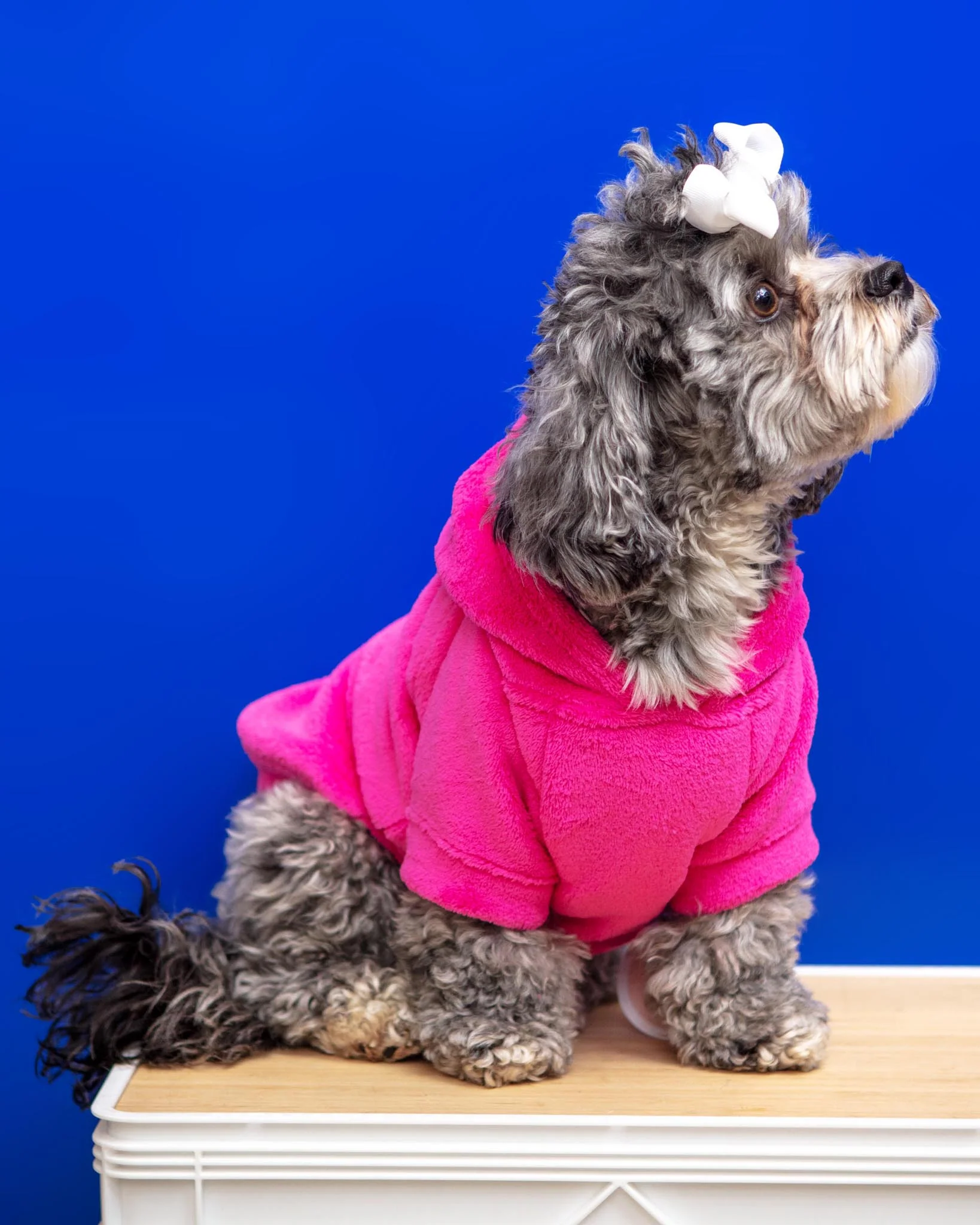 Plush Dog Hoodie in Fuschia (Made in the USA) (FINAL SALE) - Image 2