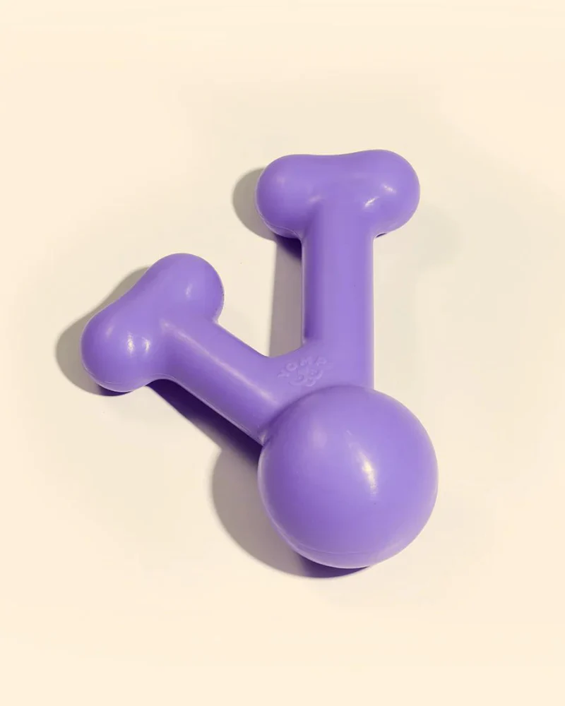 Funnybone Silicone Dog Toy (FINAL SALE) - Image 2
