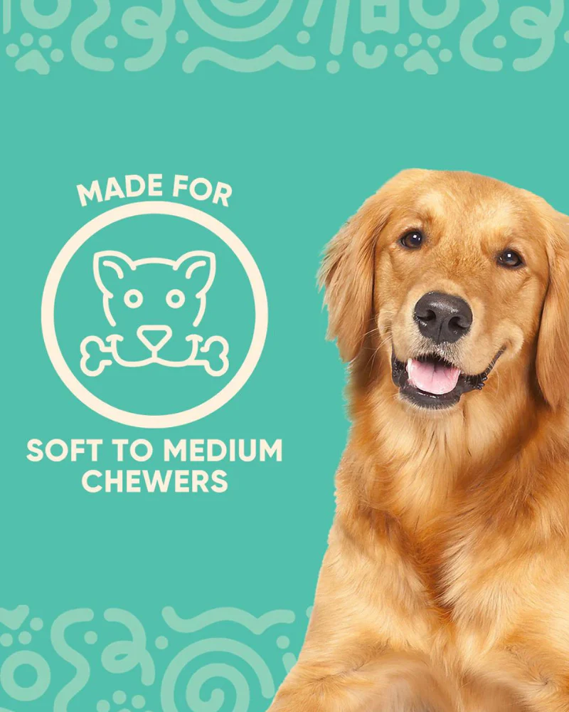 Funnybone Silicone Dog Toy (FINAL SALE) - Image 5