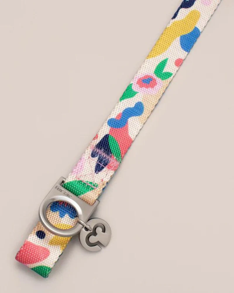 Gaston Vegan Dog Collar (FINAL SALE) - Image 4