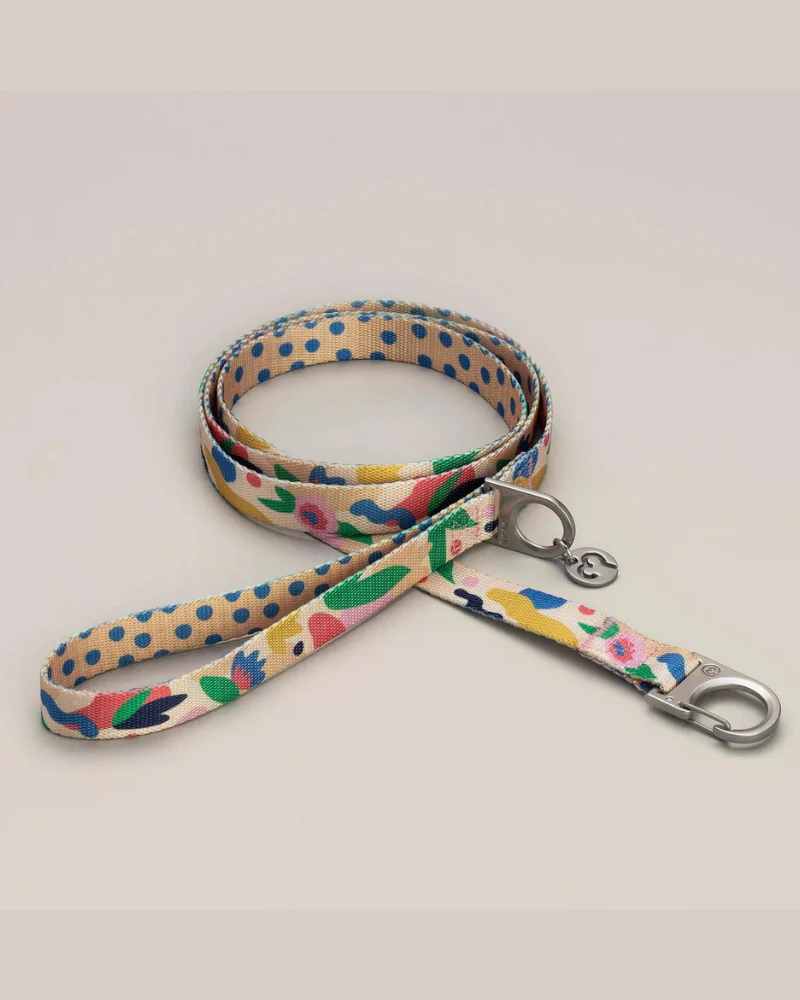 Gaston Vegan Dog Leash - Image 4