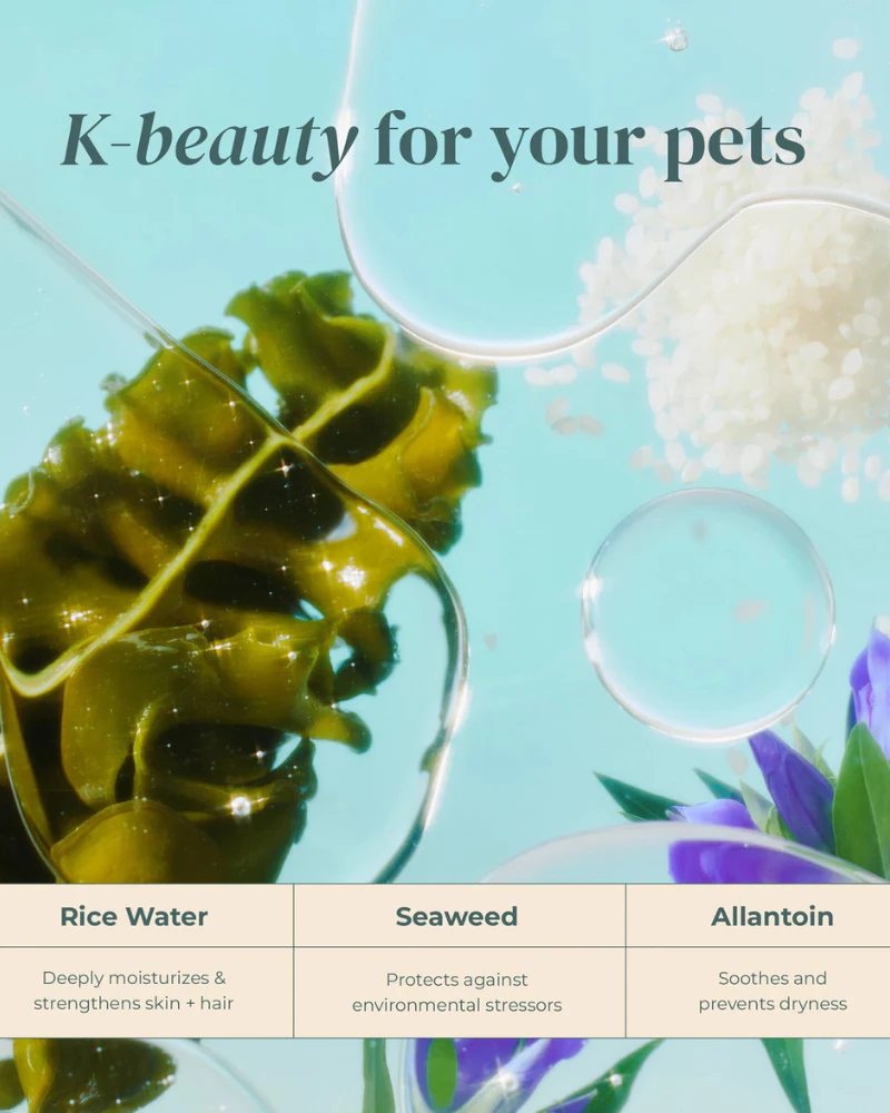 Furfection Rice Water Paw & Facial Shampoo - Image 7