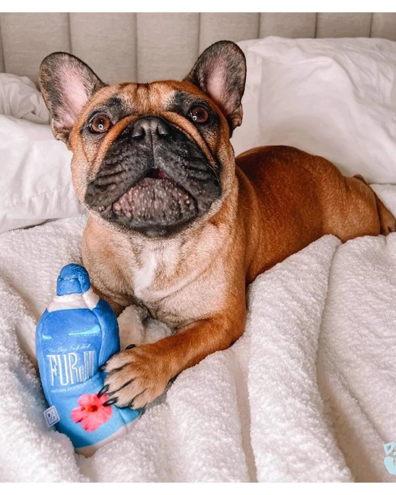 Furji Squeaky Plush Dog Toy (FINAL SALE) - Image 4
