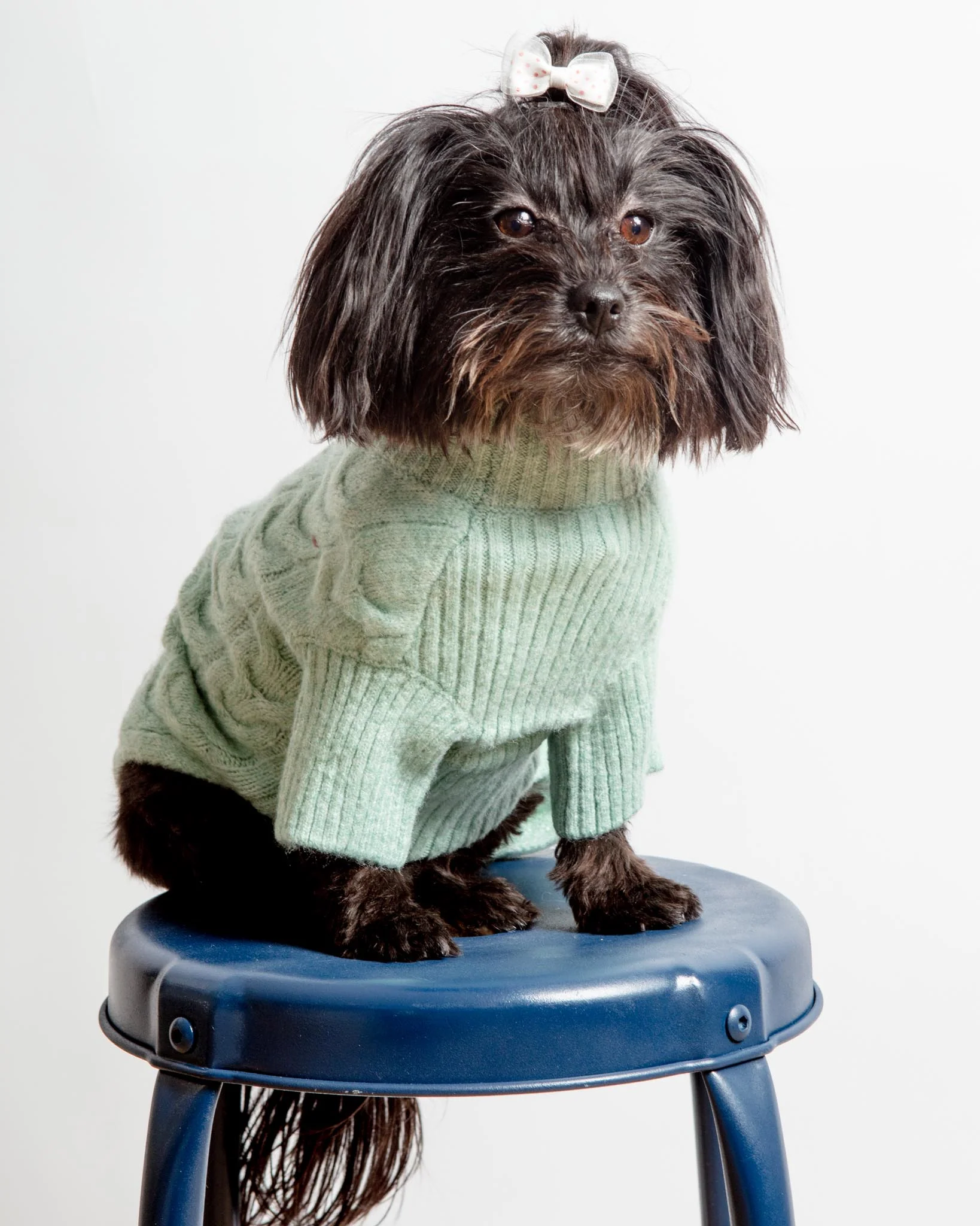 Fuzzy Knit Dog Turtleneck Sweater in Soft Mint (FINAL SALE) - Image 10