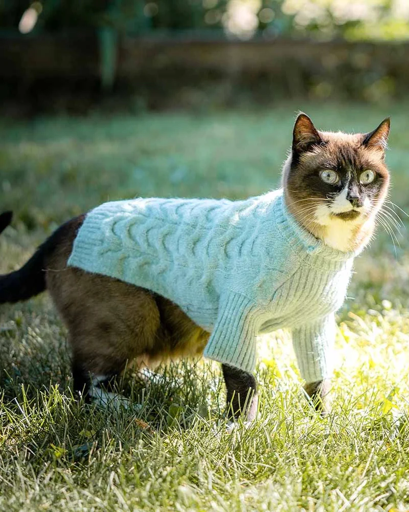 Fuzzy Knit Dog Turtleneck Sweater in Soft Mint (FINAL SALE) - Image 3