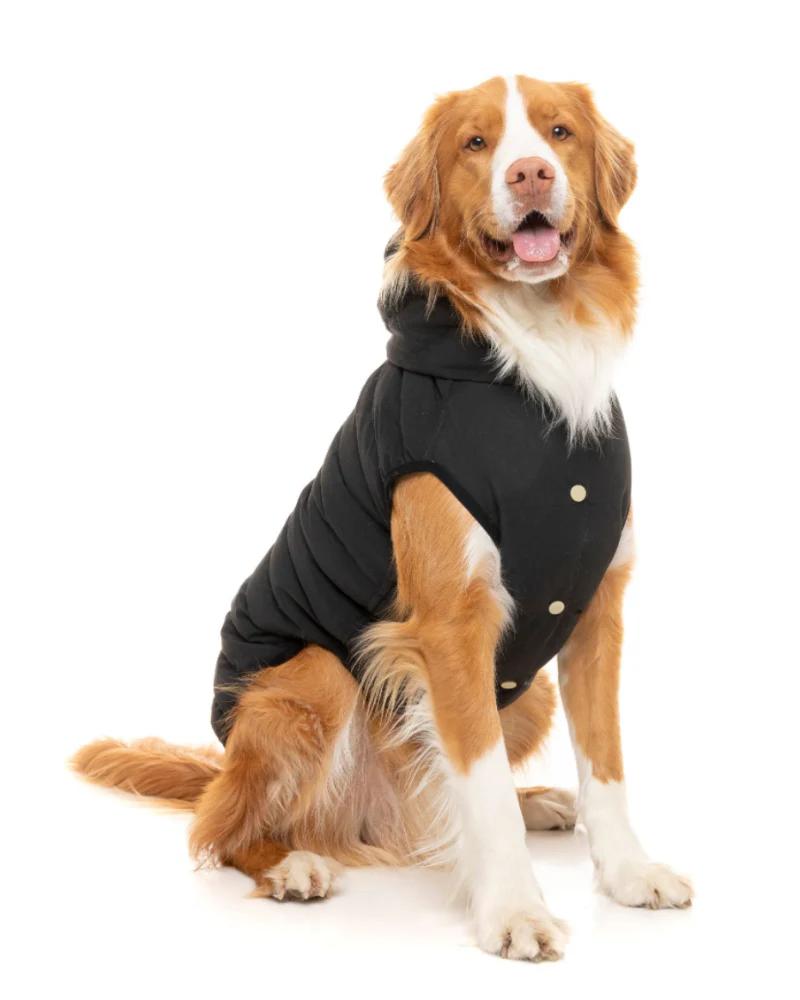 Black Aspen Puffer Dog Jacket  << FINAL SALE >> - Image 2