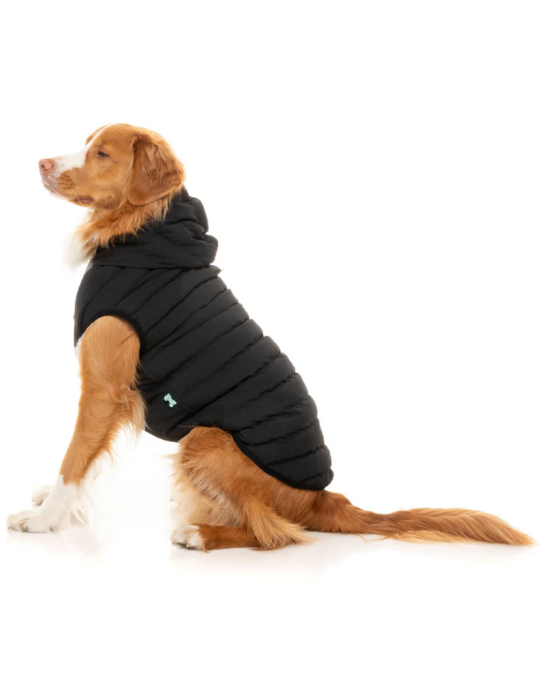 Black Aspen Puffer Dog Jacket  << FINAL SALE >> - Image 7