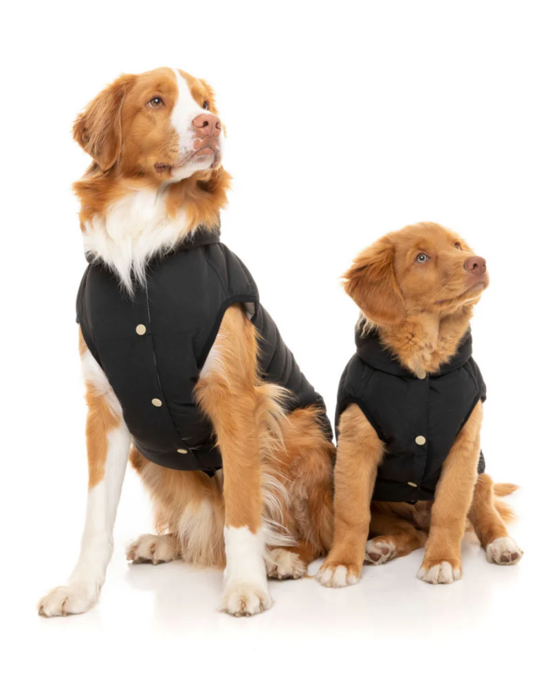 Black Aspen Puffer Dog Jacket  << FINAL SALE >> - Image 8
