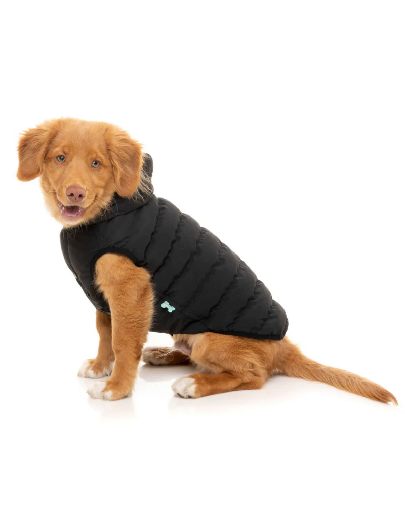 Black Aspen Puffer Dog Jacket  << FINAL SALE >> - Image 9