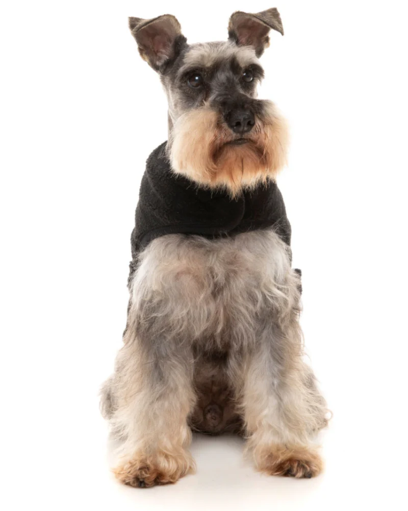 Black Teddy Wrap Dog Vest << CLEARANCE >> - Image 5