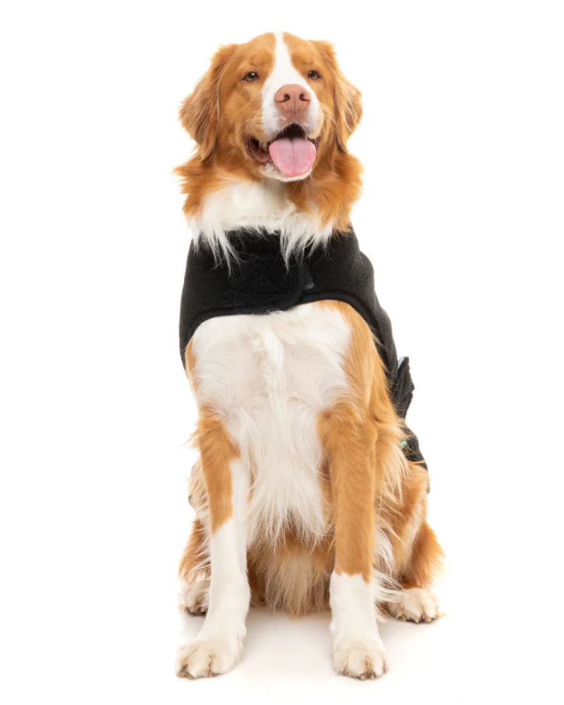 Black Teddy Wrap Dog Vest << CLEARANCE >> - Image 6