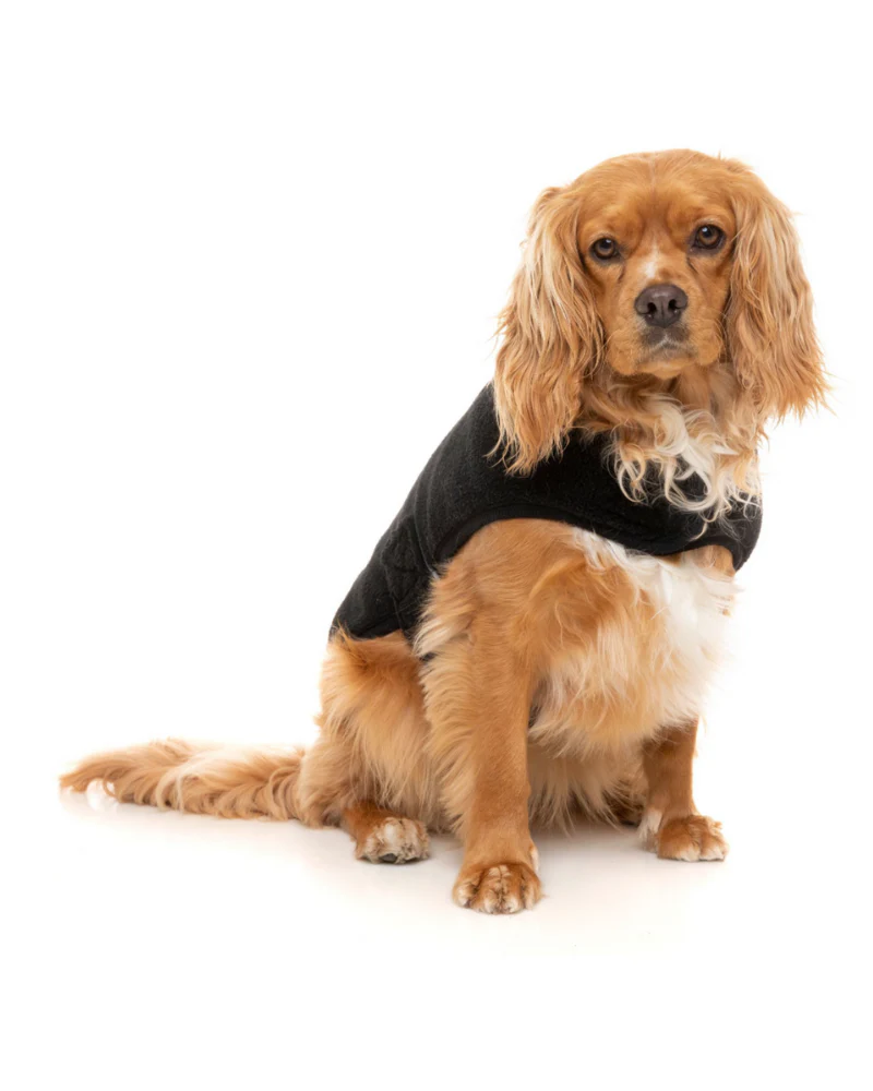 Black Teddy Wrap Dog Vest << CLEARANCE >> - Image 8