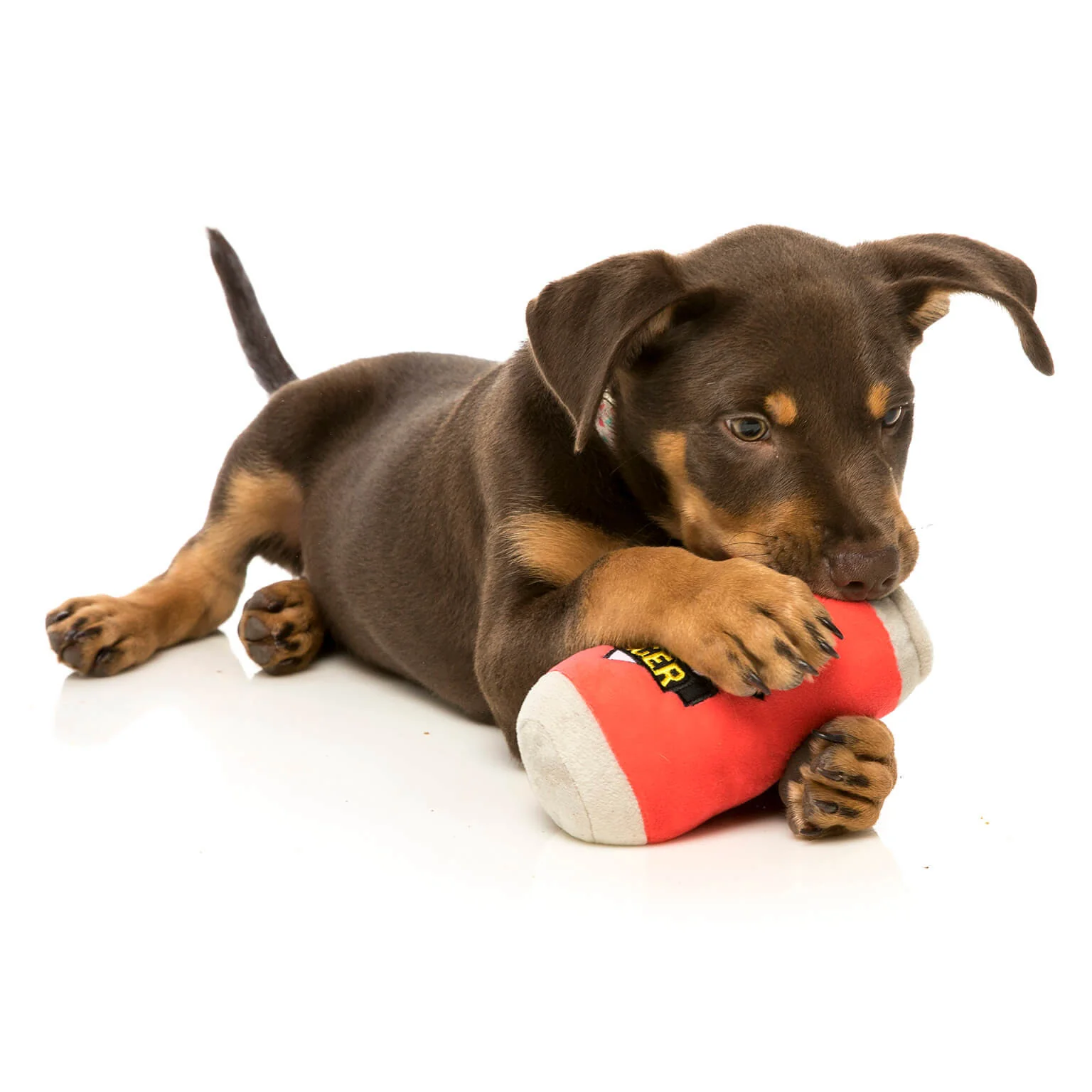 FUZZYARD | Can Of Beer Dog Toy - Image 5