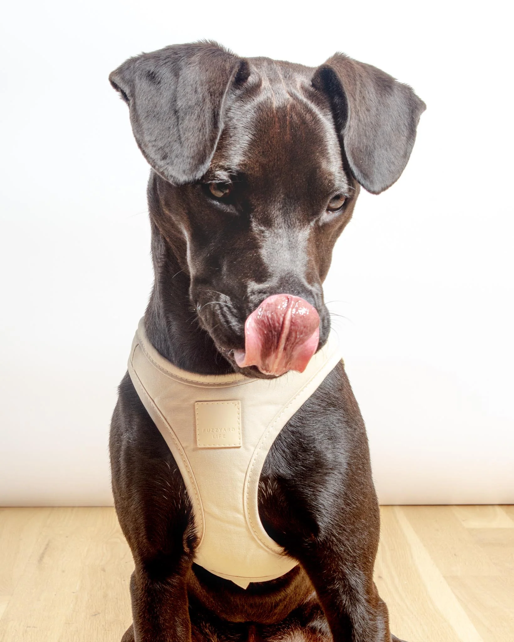 Soft Fabric Step-In Dog Harness in Sandstone - Image 6