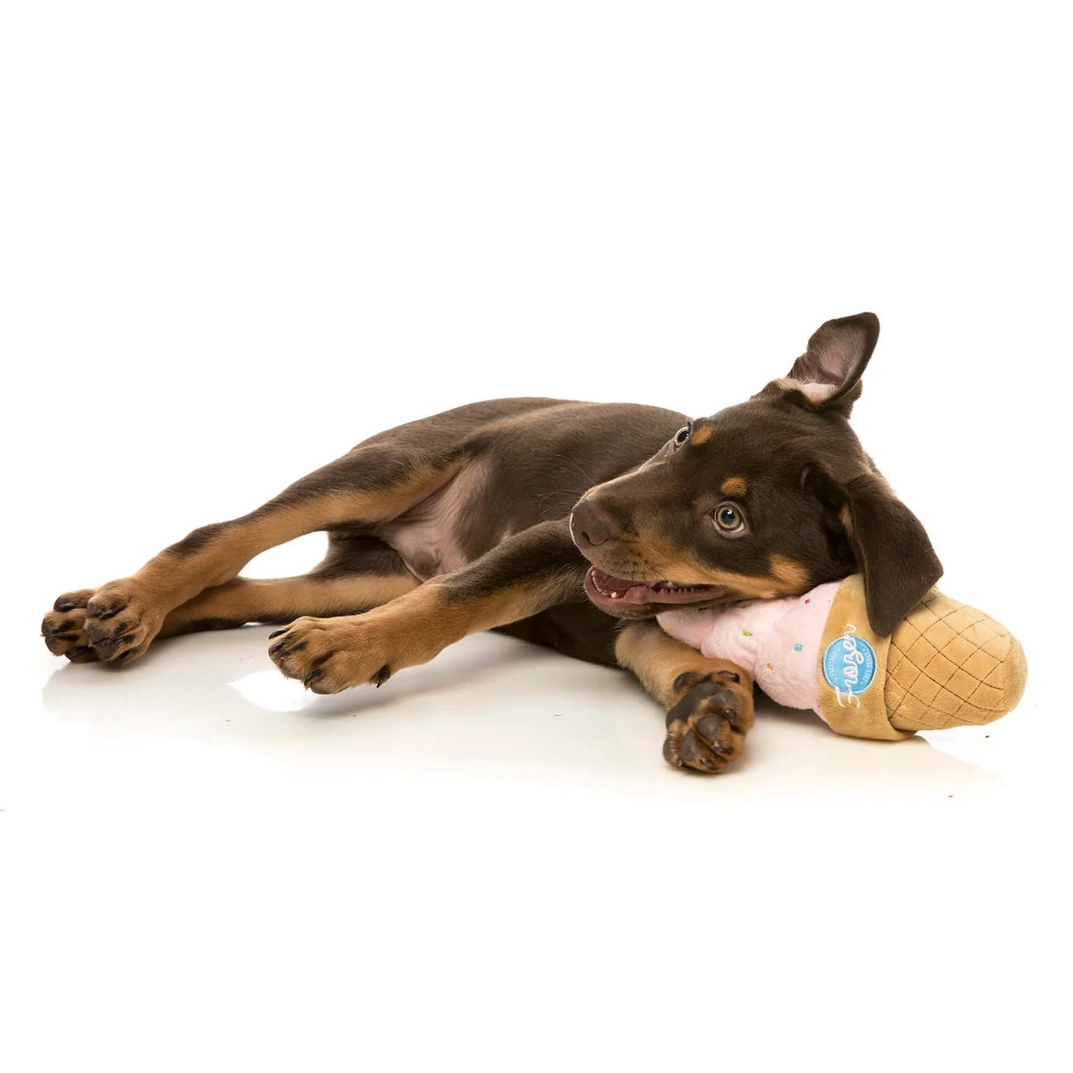 FUZZYARD | Ice Cream Dog Toy - Image 2