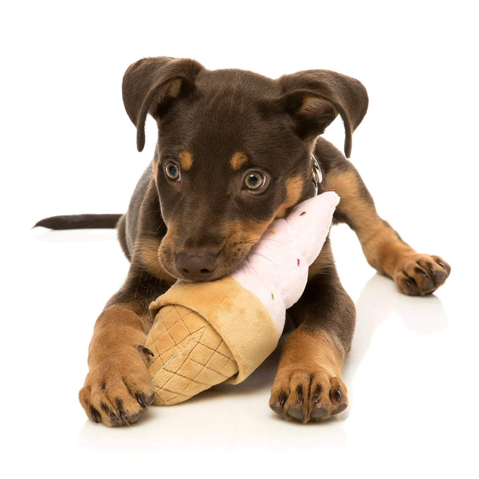 FUZZYARD | Ice Cream Dog Toy - Image 3