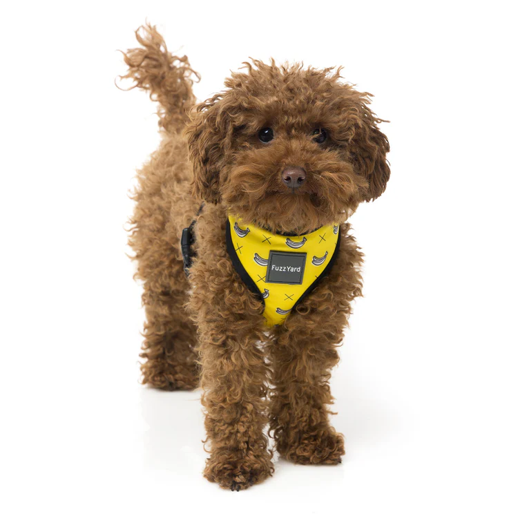 FUZZYARD | Monkey Mania Harness - Image 3