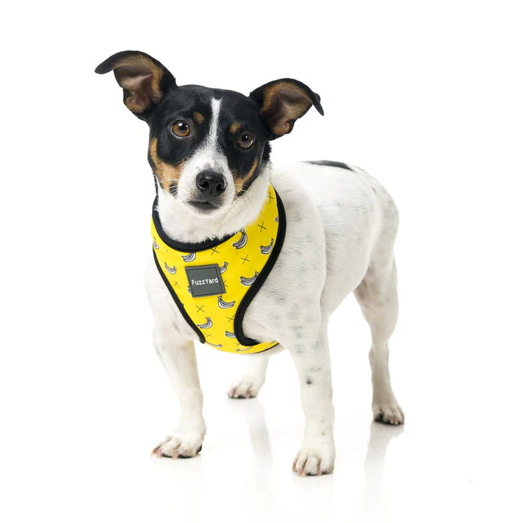 FUZZYARD | Monkey Mania Harness - Image 5