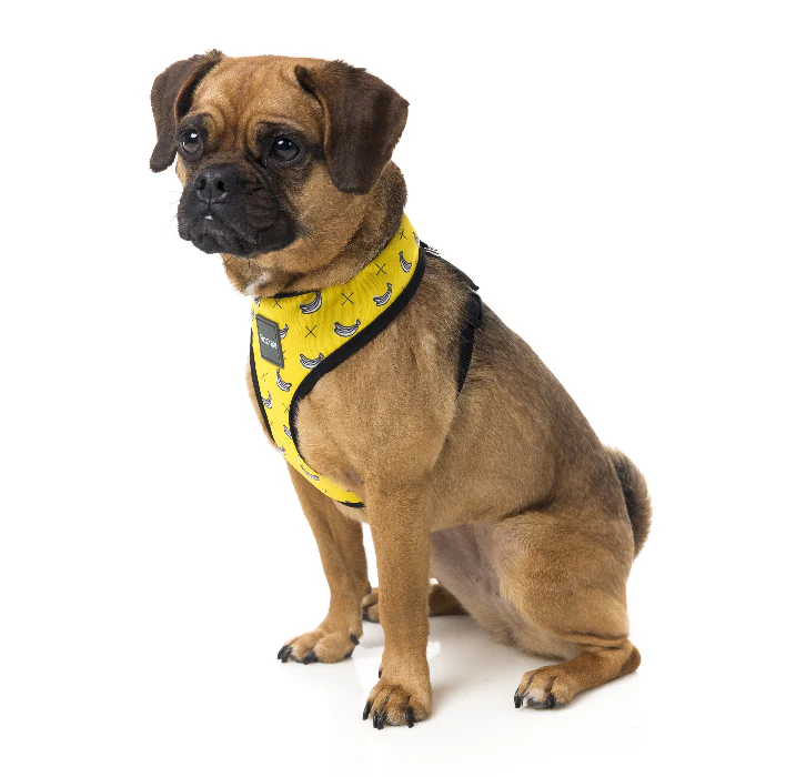 FUZZYARD | Monkey Mania Harness - Image 6