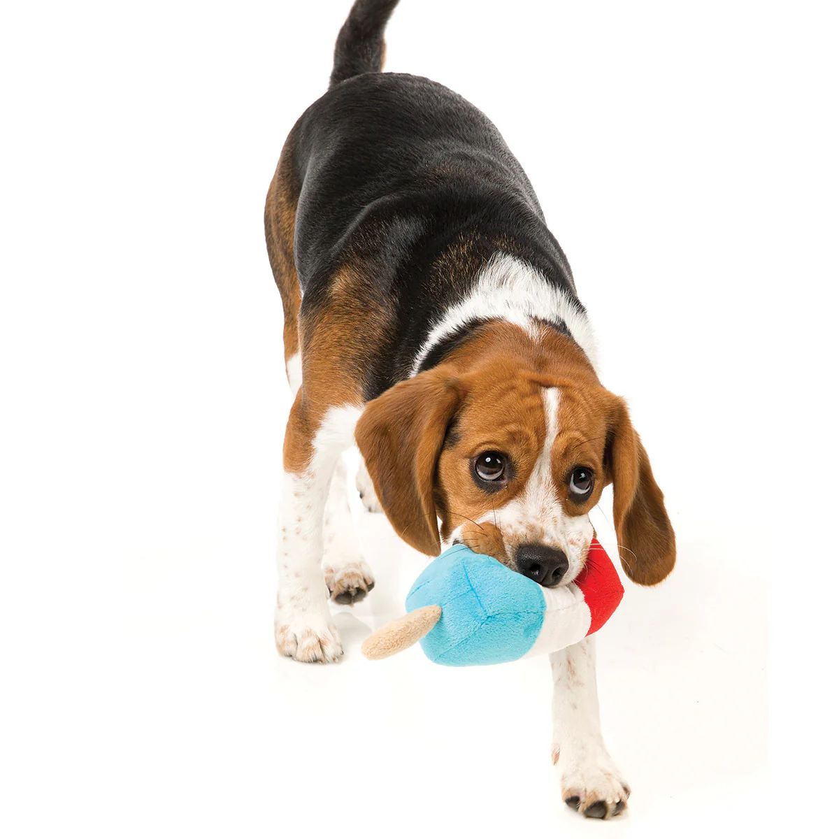 FUZZYARD | Popsicle Dog Toy - Image 2