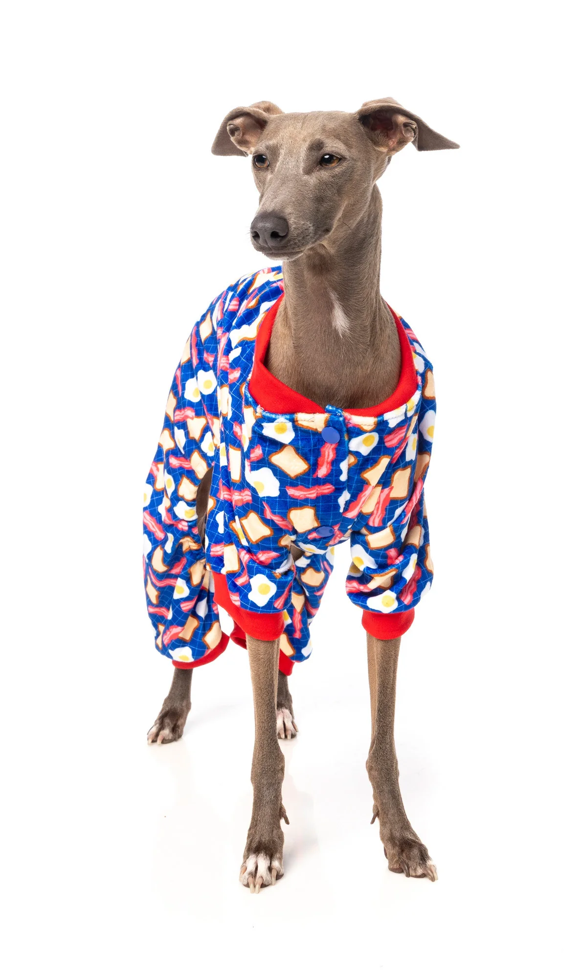 FUZZYARD | Pup Pyjamas in Bacon & Eggs - Image 4