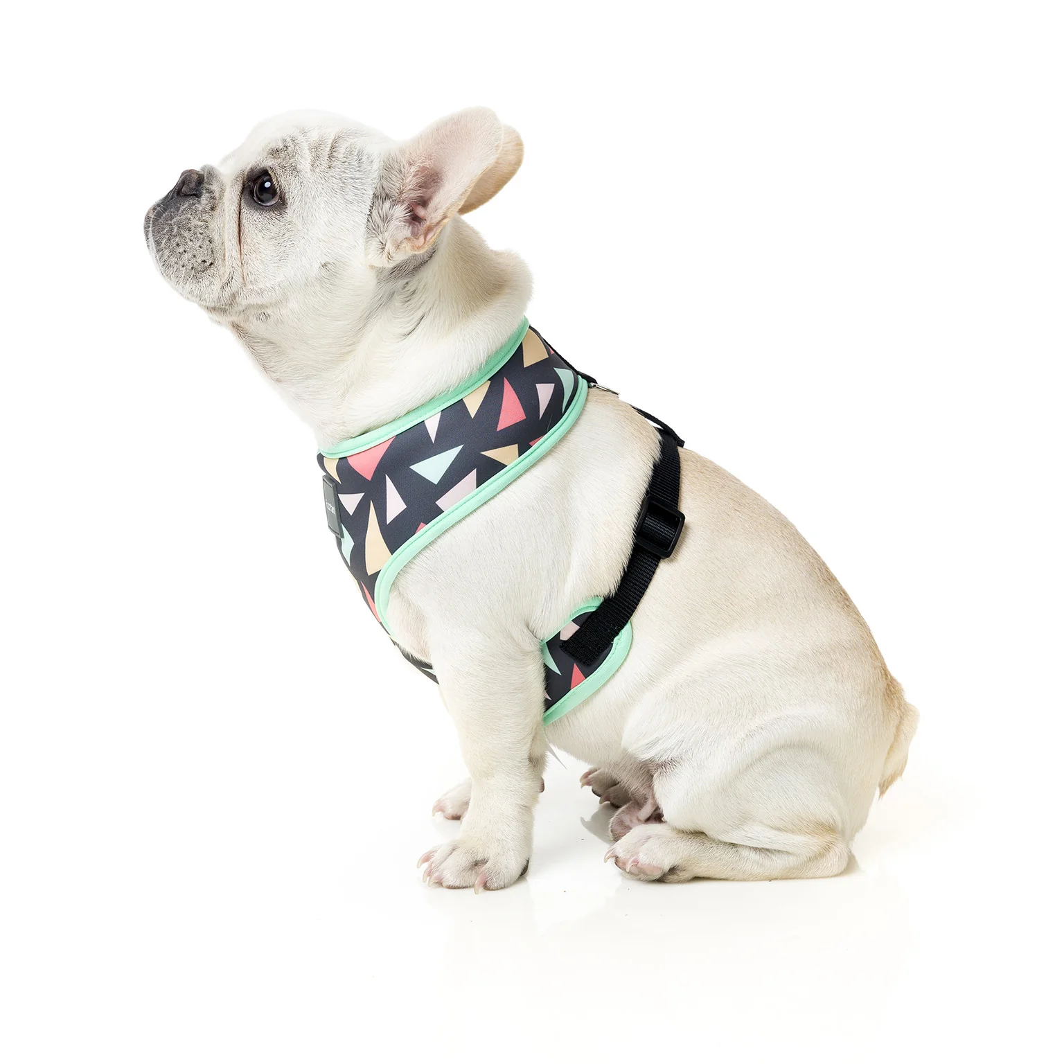 FUZZYARD | Rad Harness - Image 2