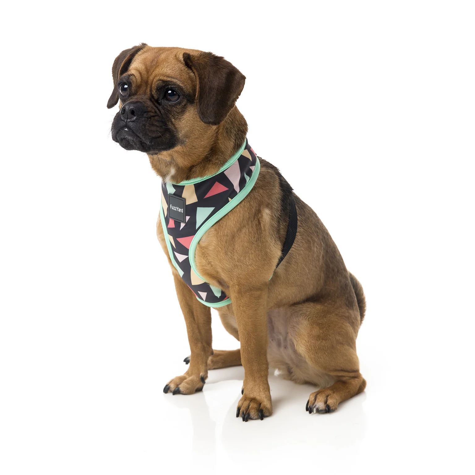 FUZZYARD | Rad Harness - Image 3