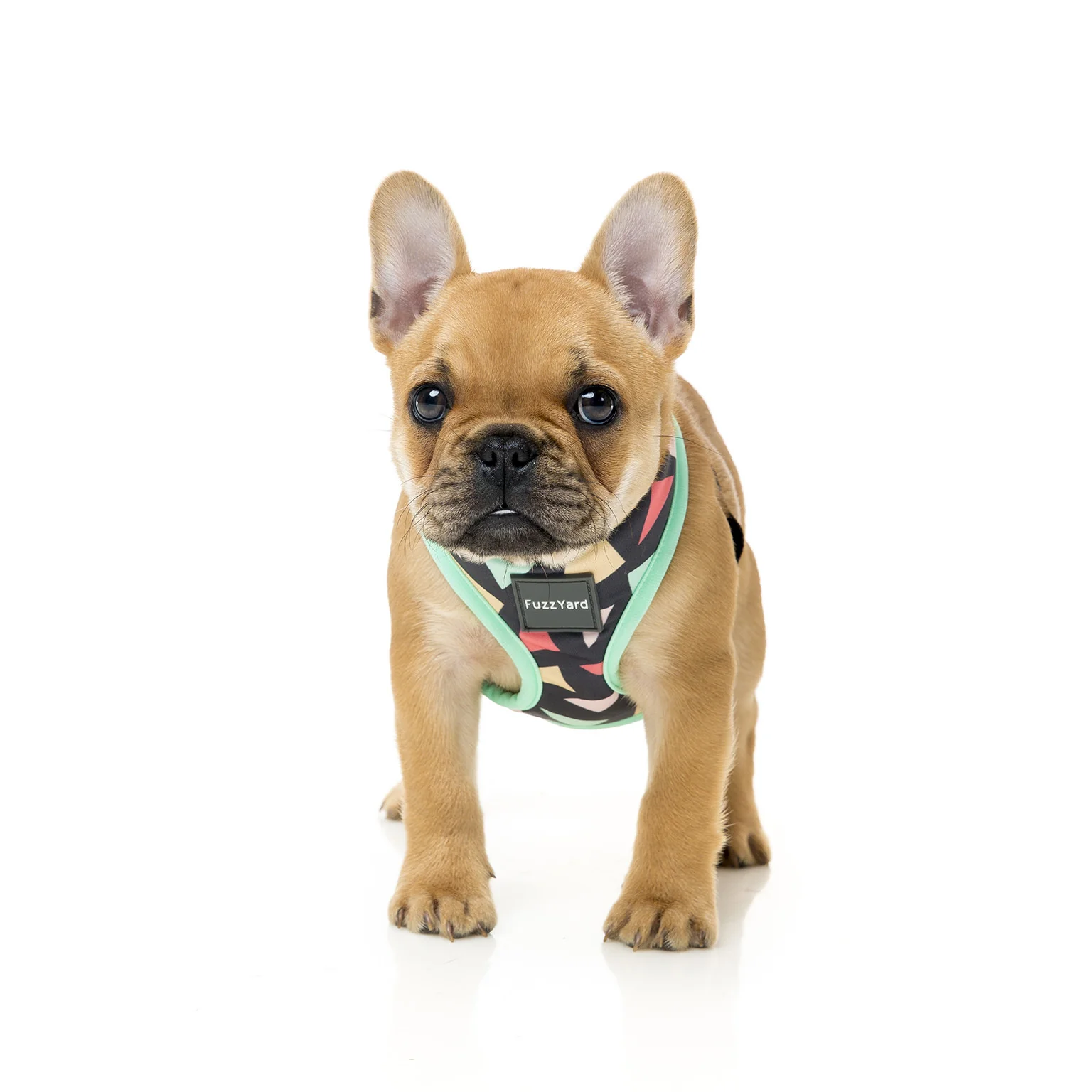 FUZZYARD | Rad Harness - Image 4