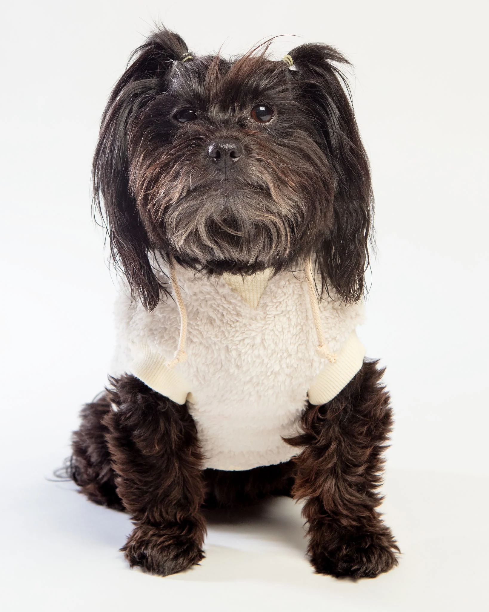 Ready Teddy Winter Hoodie in Ivory - Image 2