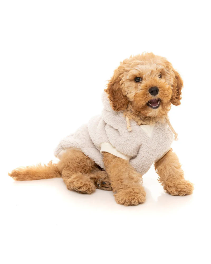 Ready Teddy Winter Hoodie in Ivory - Image 7