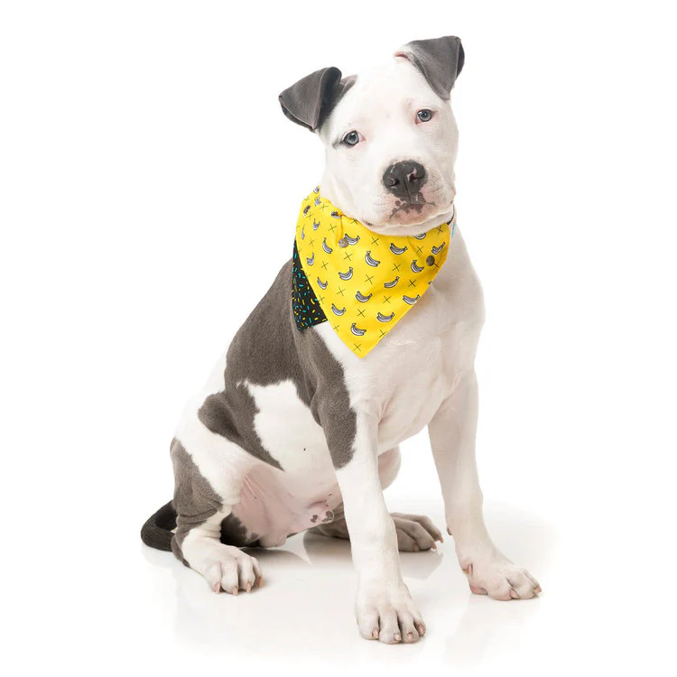 FUZZYARD | Reversible Monkey Mania Bandana - Image 3