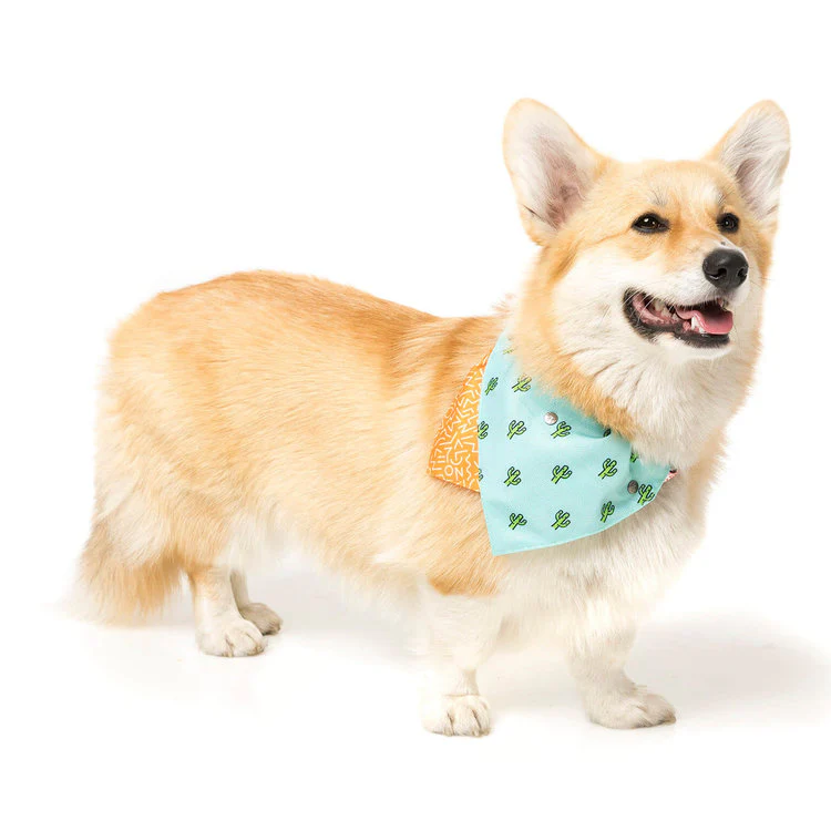 FUZZYARD | Reversible Tucson Bandana - Image 3