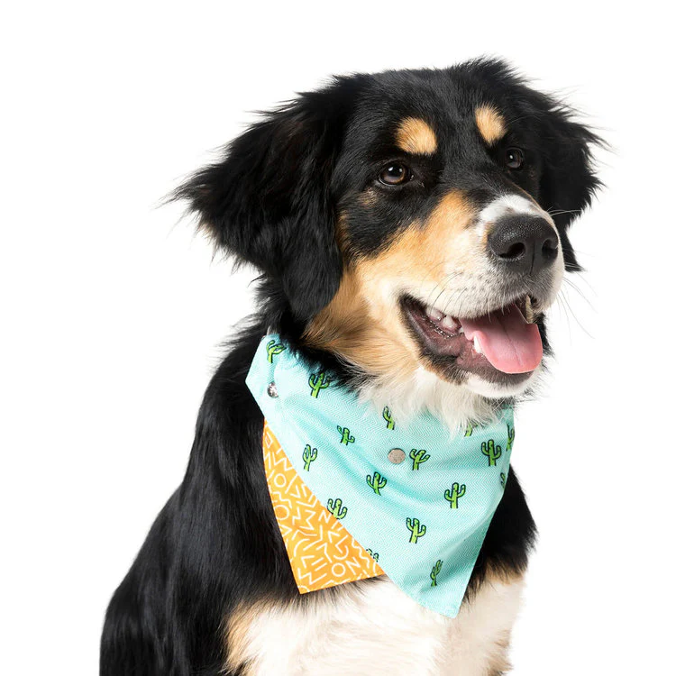 FUZZYARD | Reversible Tucson Bandana - Image 4