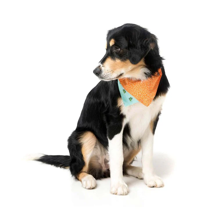 FUZZYARD | Reversible Tucson Bandana - Image 5