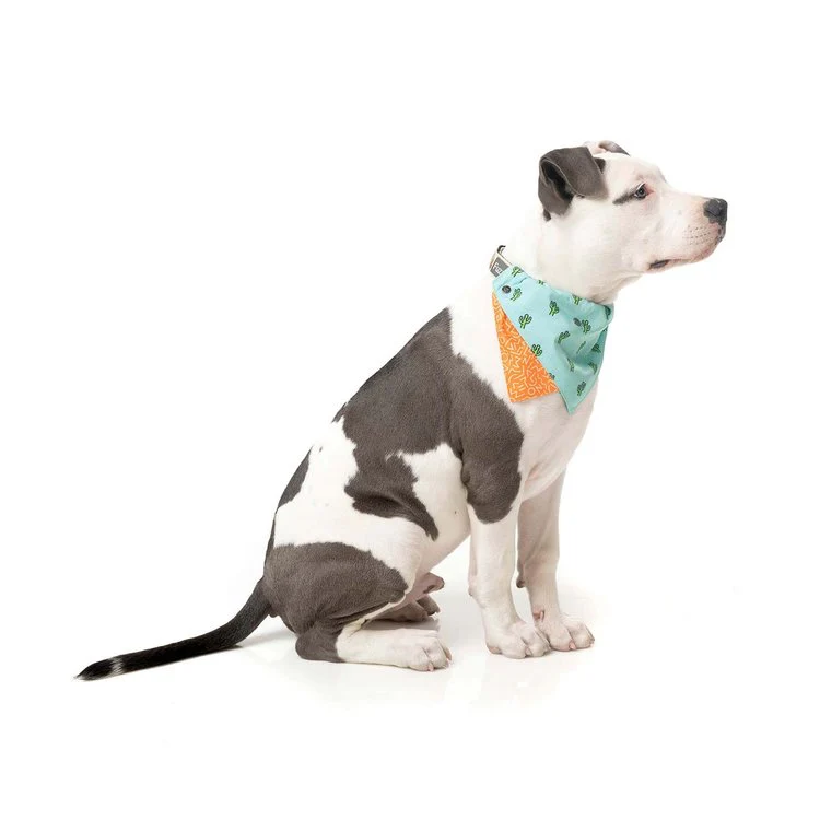 FUZZYARD | Reversible Tucson Bandana - Image 6